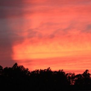 Meet your Posher, Maggie